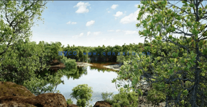 红树林树木植物3D模型 Globe Plants – Bundle 50(图1) 红树林树木植物3D模型 Globe Plants – Bundle 50(图1)