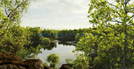 红树林树木植物3D模型 Globe Plants – Bundle 50(图5) 红树林树木植物3D模型 Globe Plants – Bundle 50(图5)