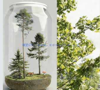 角落树PNG免抠素材Forest/Digital Vol. 3 – Corner trees(图1) 角落树PNG免抠素材Forest/Digital Vol. 3 – Corner trees(图1)