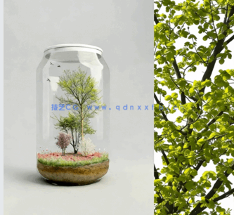 角落树PNG免抠素材Forest/Digital Vol. 3 – Corner trees(图2) 角落树PNG免抠素材Forest/Digital Vol. 3 – Corner trees(图2)