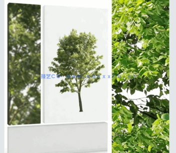 角落树PNG免抠素材Forest/Digital Vol. 3 – Corner trees(图3) 角落树PNG免抠素材Forest/Digital Vol. 3 – Corner trees(图3)