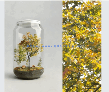 角落树PNG免抠素材Forest/Digital Vol. 3 – Corner trees(图4) 角落树PNG免抠素材Forest/Digital Vol. 3 – Corner trees(图4)