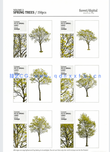 高清PNG素材春季树木Forest/Digital Vol. 2 – Spring(图3) 高清PNG素材春季树木Forest/Digital Vol. 2 – Spring(图3)