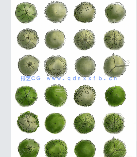 PSD手绘风平面植物免扣素材(图1) PSD手绘风平面植物免扣素材(图1)