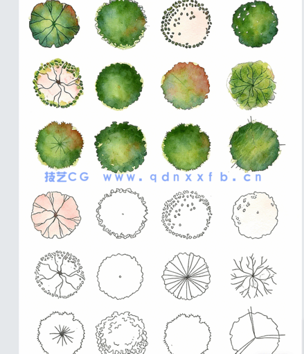 PSD手绘风平面植物免扣素材(图2) PSD手绘风平面植物免扣素材(图2)