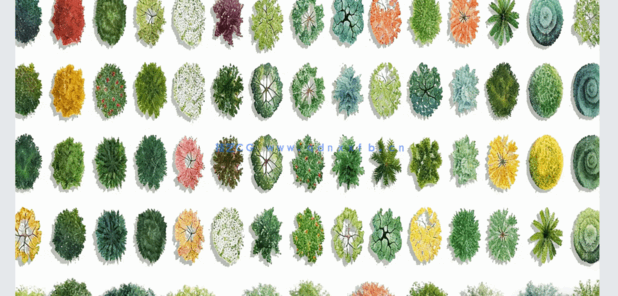 PSD手绘风平面植物免扣素材(图5) PSD手绘风平面植物免扣素材(图5)