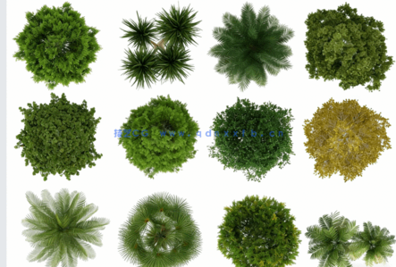 PSD平面植物素材(图2) PSD平面植物素材(图2)