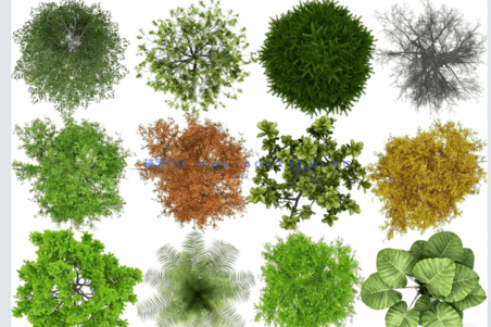 PSD平面植物素材(图3) PSD平面植物素材(图3)