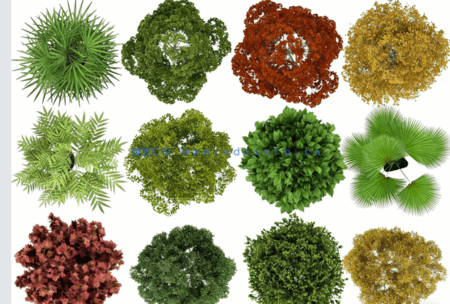 PSD平面植物素材(图4) PSD平面植物素材(图4)