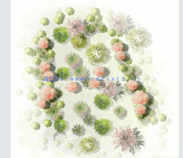  PSD小清新平面植物素材(图4)