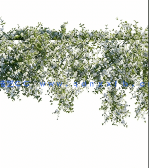 40个植物树木3DSKY PRO模型(图6) 40个植物树木3DSKY PRO模型(图6)