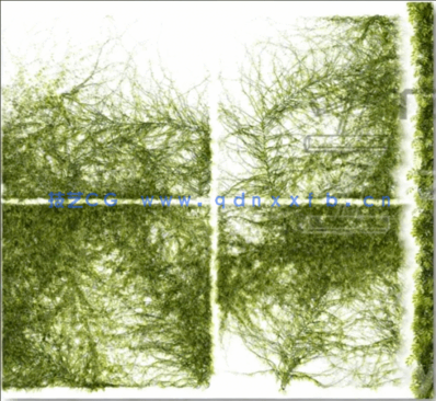 40个植物树木3DSKY PRO模型(图2) 40个植物树木3DSKY PRO模型(图2)