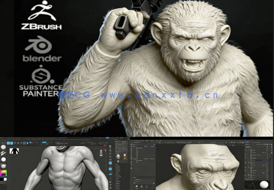 ZBrush《猩球崛起》科巴角色雕刻建模全流程视频教程(图5) ZBrush《猩球崛起》科巴角色雕刻建模全流程视频教程(图5)