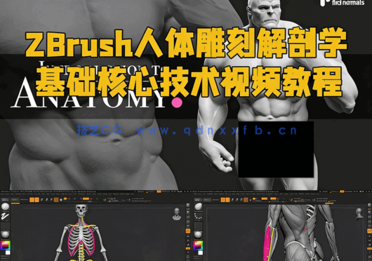 ZBrush人体雕刻解剖学基础核心技术视频教程(图1) ZBrush人体雕刻解剖学基础核心技术视频教程(图1)