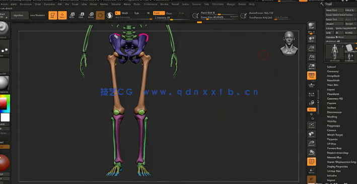 ZBrush人体雕刻解剖学基础核心技术视频教程(图3) ZBrush人体雕刻解剖学基础核心技术视频教程(图3)