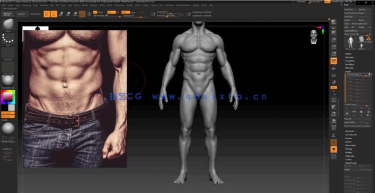Zbrush逼真3D角色人体骨架肌肉解剖制作视频教程(图2) Zbrush逼真3D角色人体骨架肌肉解剖制作视频教程(图2)