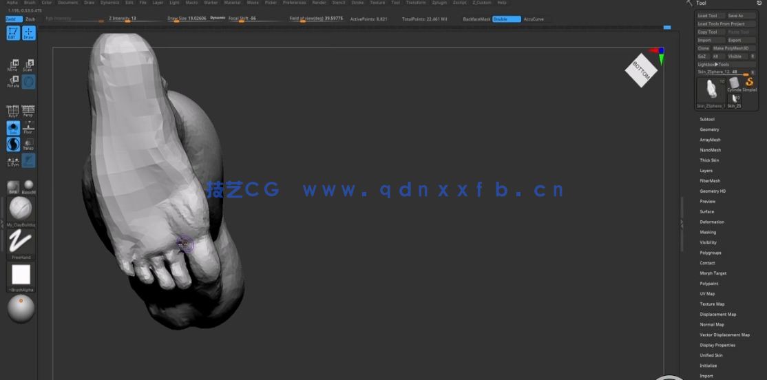 ZBrush健美运动员肌肉结构解剖雕刻技术视频教程 (图2) ZBrush健美运动员肌肉结构解剖雕刻技术视频教程 (图2)