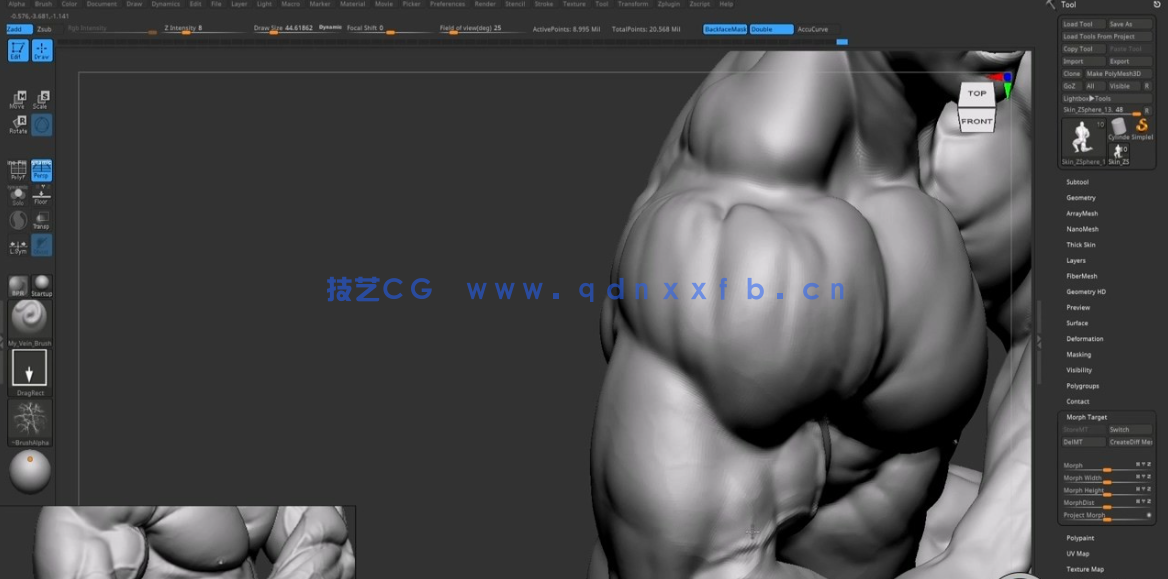 ZBrush健美运动员肌肉结构解剖雕刻技术视频教程 (图4) ZBrush健美运动员肌肉结构解剖雕刻技术视频教程 (图4)