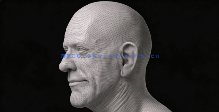 ZBrush与KeyShot逼真人物肖像制作视频教程 (图5) ZBrush与KeyShot逼真人物肖像制作视频教程 (图5)