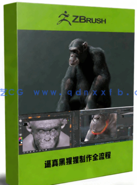 逼真黑猩猩生物CG制作全流程视频教程(图1) 逼真黑猩猩生物CG制作全流程视频教程(图1)