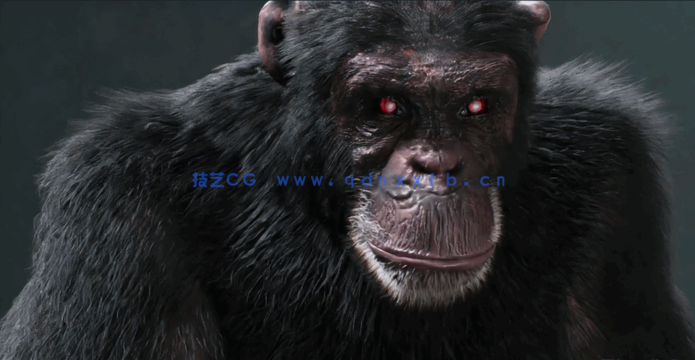 逼真黑猩猩生物CG制作全流程视频教程(图2) 逼真黑猩猩生物CG制作全流程视频教程(图2)