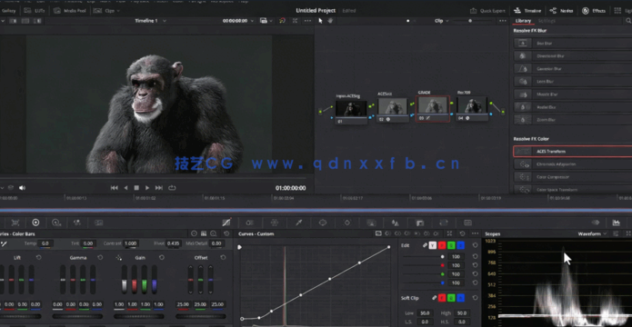 逼真黑猩猩生物CG制作全流程视频教程(图6) 逼真黑猩猩生物CG制作全流程视频教程(图6)
