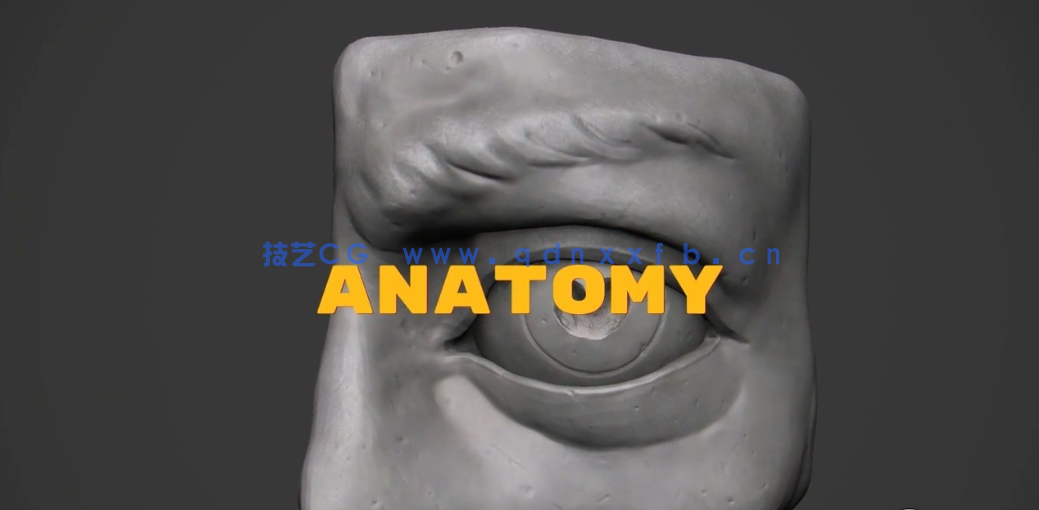 Zbrush高级雕刻技术大师班视频教程 (图4) Zbrush高级雕刻技术大师班视频教程 (图4)