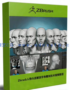 Zbrush人物头部解剖学和雕刻技术训练视频教程 (图1) Zbrush人物头部解剖学和雕刻技术训练视频教程 (图1)