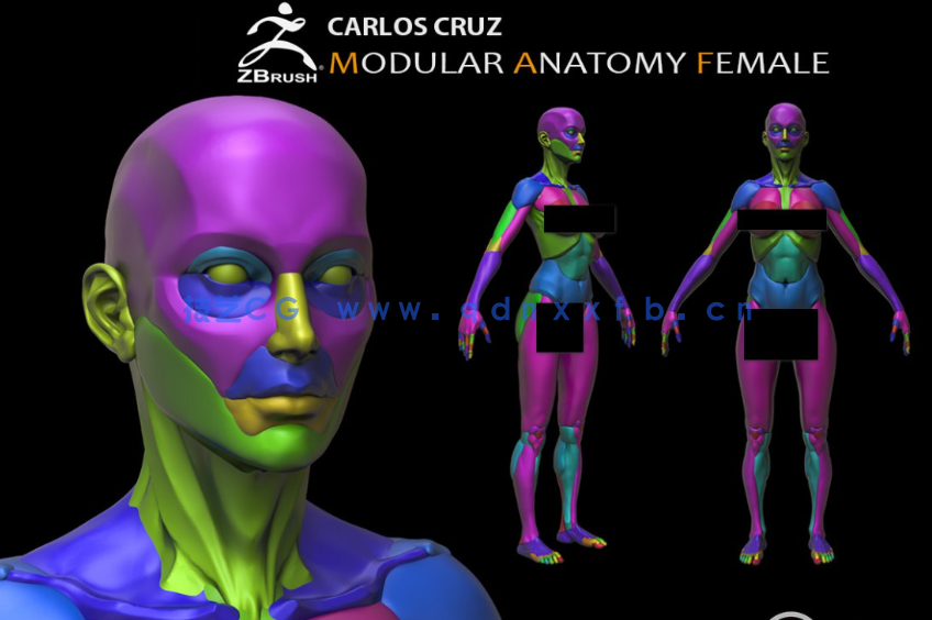 Zbrush女性模块化雕刻解剖学技术视频教程(图2) Zbrush女性模块化雕刻解剖学技术视频教程(图2)