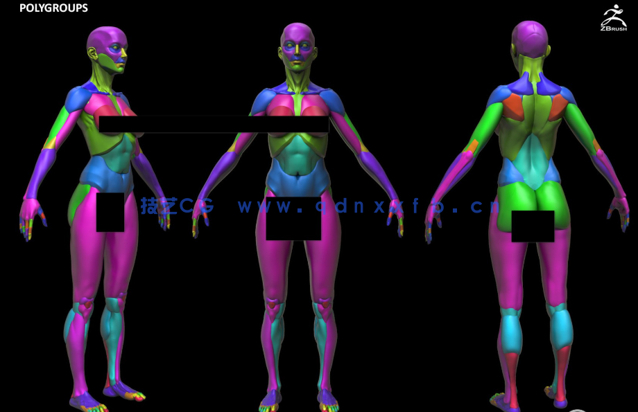 Zbrush女性模块化雕刻解剖学技术视频教程(图3) Zbrush女性模块化雕刻解剖学技术视频教程(图3)