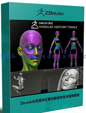 Zbrush女性模块化雕刻解剖学技术视频教程(图1) Zbrush女性模块化雕刻解剖学技术视频教程(图1)