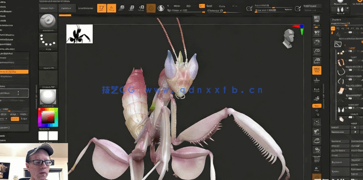 ZBrush与Marmoset Toolbag螳螂生物概念雕刻建模视频教程(图3) ZBrush与Marmoset Toolbag螳螂生物概念雕刻建模视频教程(图3)