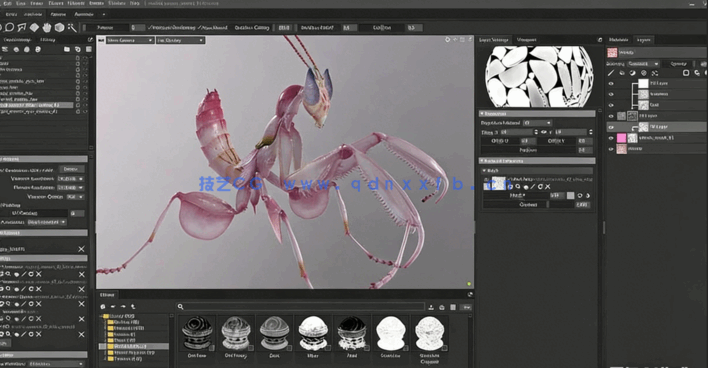 ZBrush与Marmoset Toolbag螳螂生物概念雕刻建模视频教程(图2) ZBrush与Marmoset Toolbag螳螂生物概念雕刻建模视频教程(图2)
