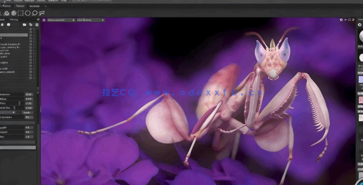 ZBrush与Marmoset Toolbag螳螂生物概念雕刻建模视频教程(图5) ZBrush与Marmoset Toolbag螳螂生物概念雕刻建模视频教程(图5)