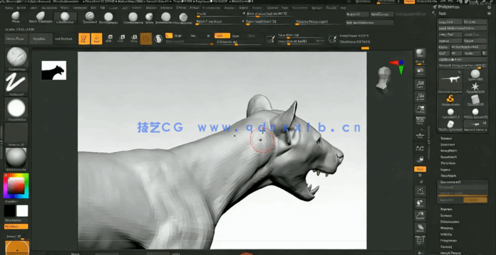 ZBrush逼真动物雕刻解剖学制作流程大师级视频教程(图4) ZBrush逼真动物雕刻解剖学制作流程大师级视频教程(图4)