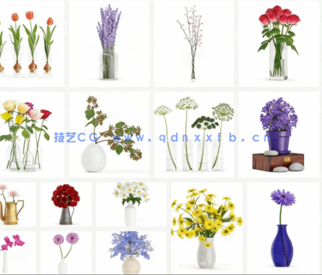 26组高质量C4D花卉盆栽室内景观植物模型(图2)