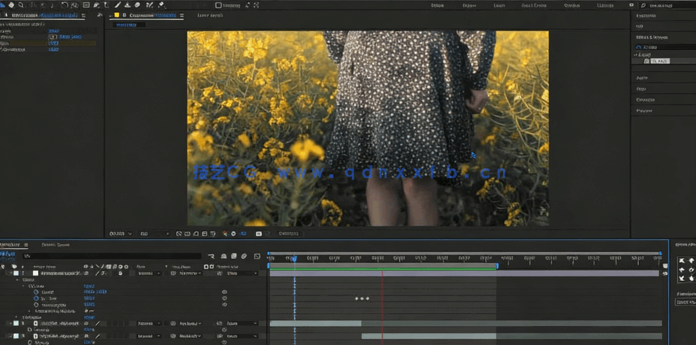 After Effects 2024基础入门训练视频教程(图5) After Effects 2024基础入门训练视频教程(图5)