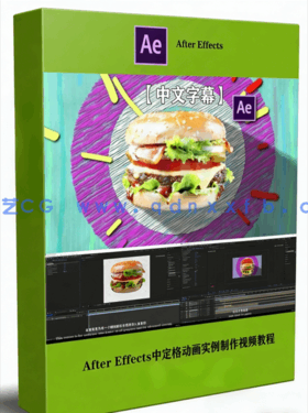 After Effects影视后期制作完全自学指南视频教程(图1) After Effects影视后期制作完全自学指南视频教程(图1)