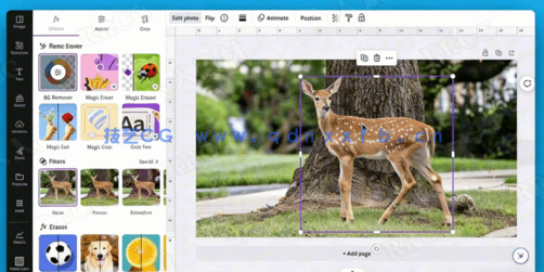Canva AI人工智能大师班视频教程(图4) Canva AI人工智能大师班视频教程(图4)