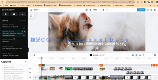 CapCut视频编辑从入门到精通训练视频教程(图1) CapCut视频编辑从入门到精通训练视频教程(图1)