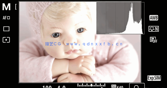 摄影棚灯光照明精通训练大师班视频教程(图3) 摄影棚灯光照明精通训练大师班视频教程(图3)