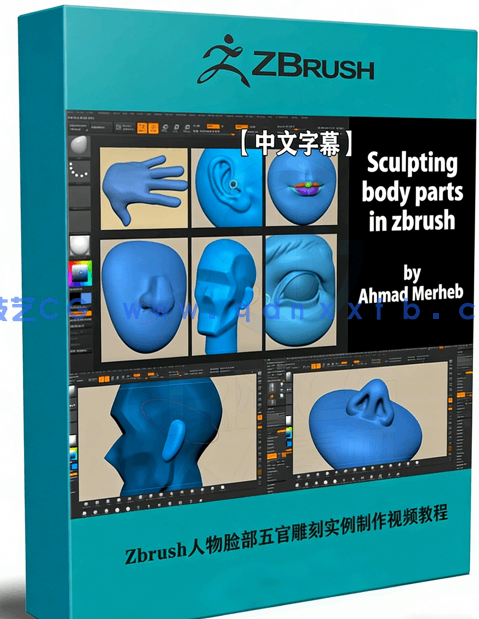 Zbrush人物脸部五官雕刻实例制作视频教程 (图1) Zbrush人物脸部五官雕刻实例制作视频教程 (图1)