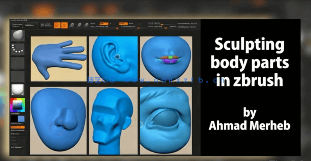 Zbrush人物脸部五官雕刻实例制作视频教程 (图2) Zbrush人物脸部五官雕刻实例制作视频教程 (图2)