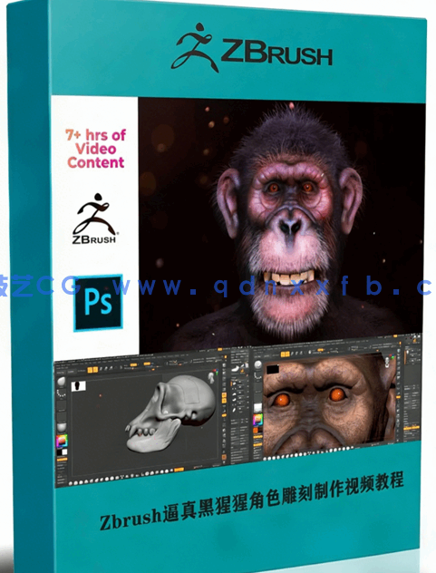Zbrush逼真黑猩猩角色雕刻制作全流程视频教程(图1) Zbrush逼真黑猩猩角色雕刻制作全流程视频教程(图1)