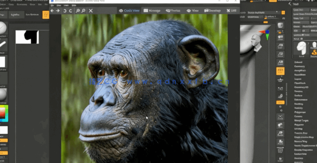 Zbrush逼真黑猩猩角色雕刻制作全流程视频教程(图2) Zbrush逼真黑猩猩角色雕刻制作全流程视频教程(图2)