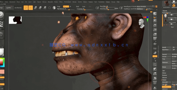Zbrush逼真黑猩猩角色雕刻制作全流程视频教程(图3) Zbrush逼真黑猩猩角色雕刻制作全流程视频教程(图3)