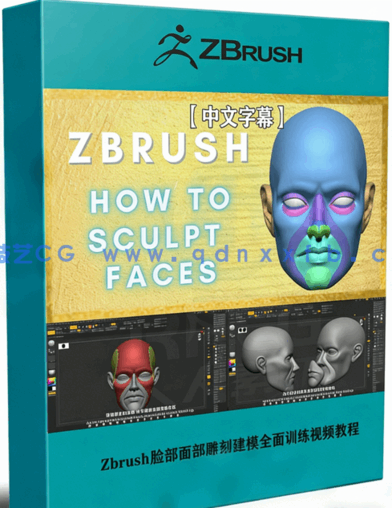 Zbrush脸部面部雕刻建模全面训练视频教程(图1) Zbrush脸部面部雕刻建模全面训练视频教程(图1)
