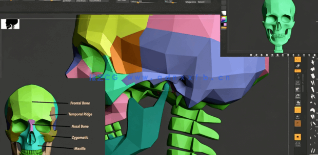 Zbrush脸部面部雕刻建模全面训练视频教程(图2) Zbrush脸部面部雕刻建模全面训练视频教程(图2)