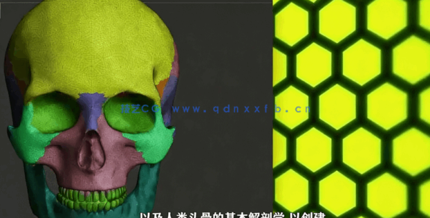 Zbrush脸部面部雕刻建模全面训练视频教程(图4) Zbrush脸部面部雕刻建模全面训练视频教程(图4)