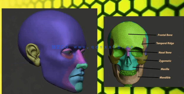 Zbrush脸部面部雕刻建模全面训练视频教程(图5) Zbrush脸部面部雕刻建模全面训练视频教程(图5)